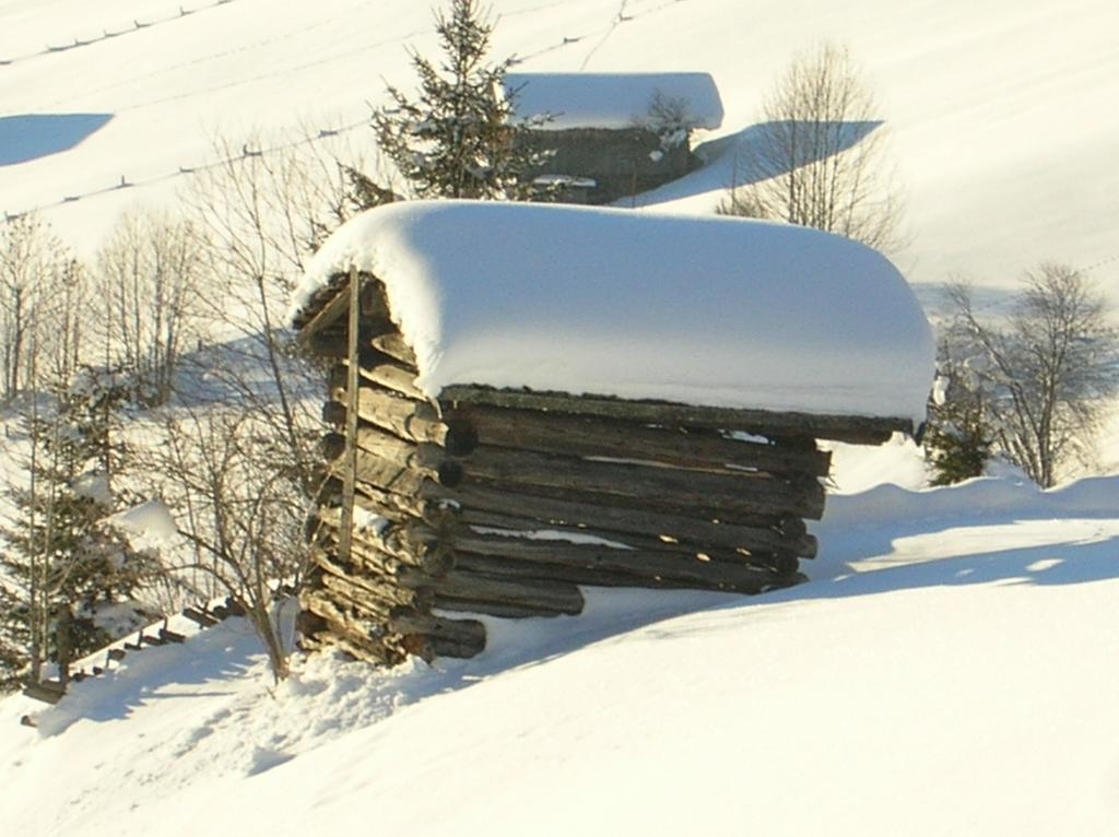 Haus Konrad Reith im Alpbachtal Exterior foto